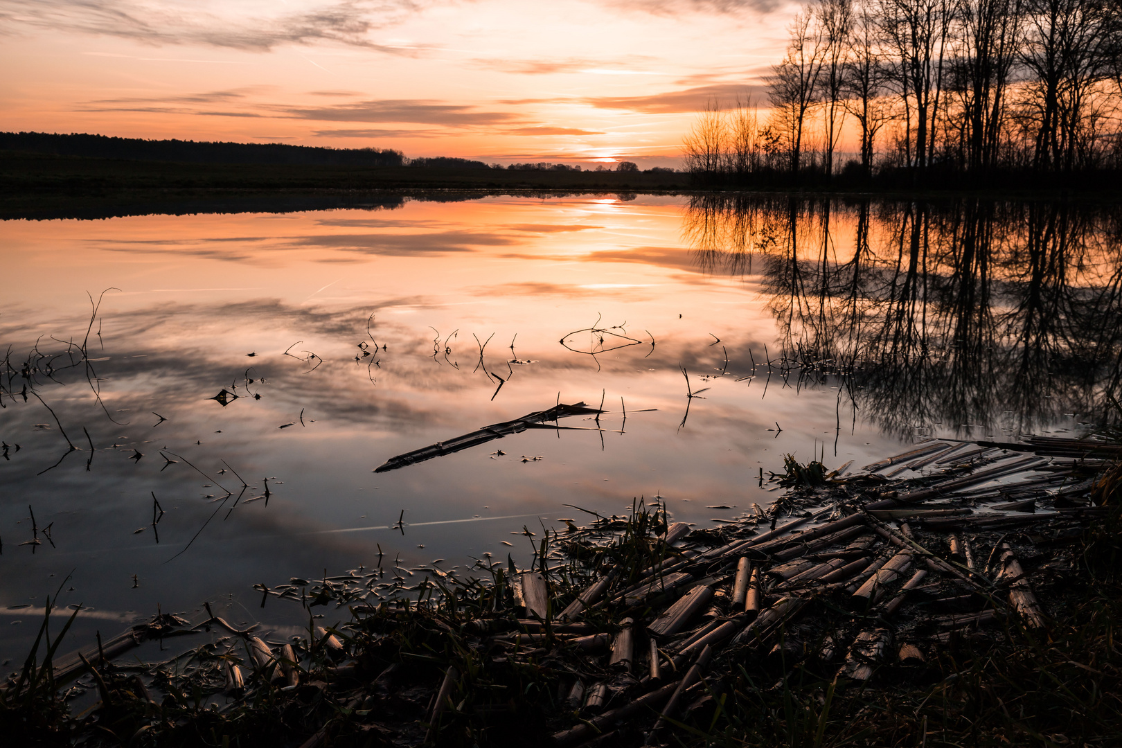 Fischweiher2