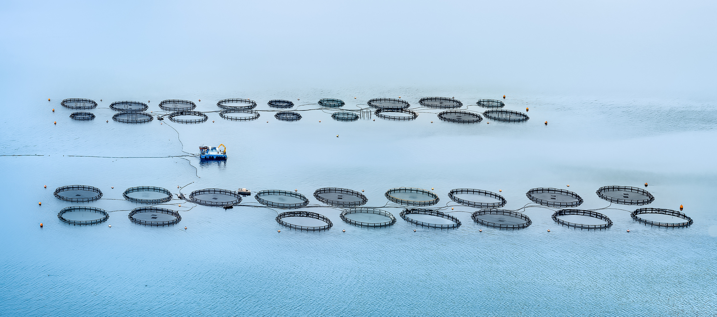 Fischzucht Foto & Bild | spezial, outdoor, meer Bilder auf fotocommunity