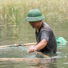 Fischzucht in Vietnam