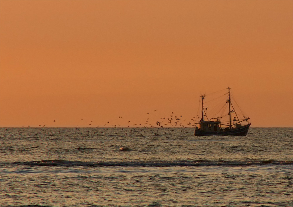 Fischzug am Abend ...