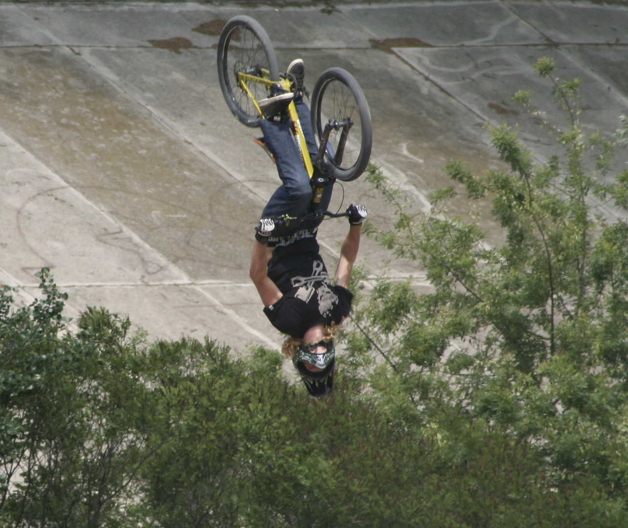 fise 2010