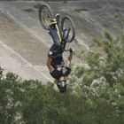 fise 2010