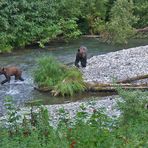 Fish creek, Hyder Alaska