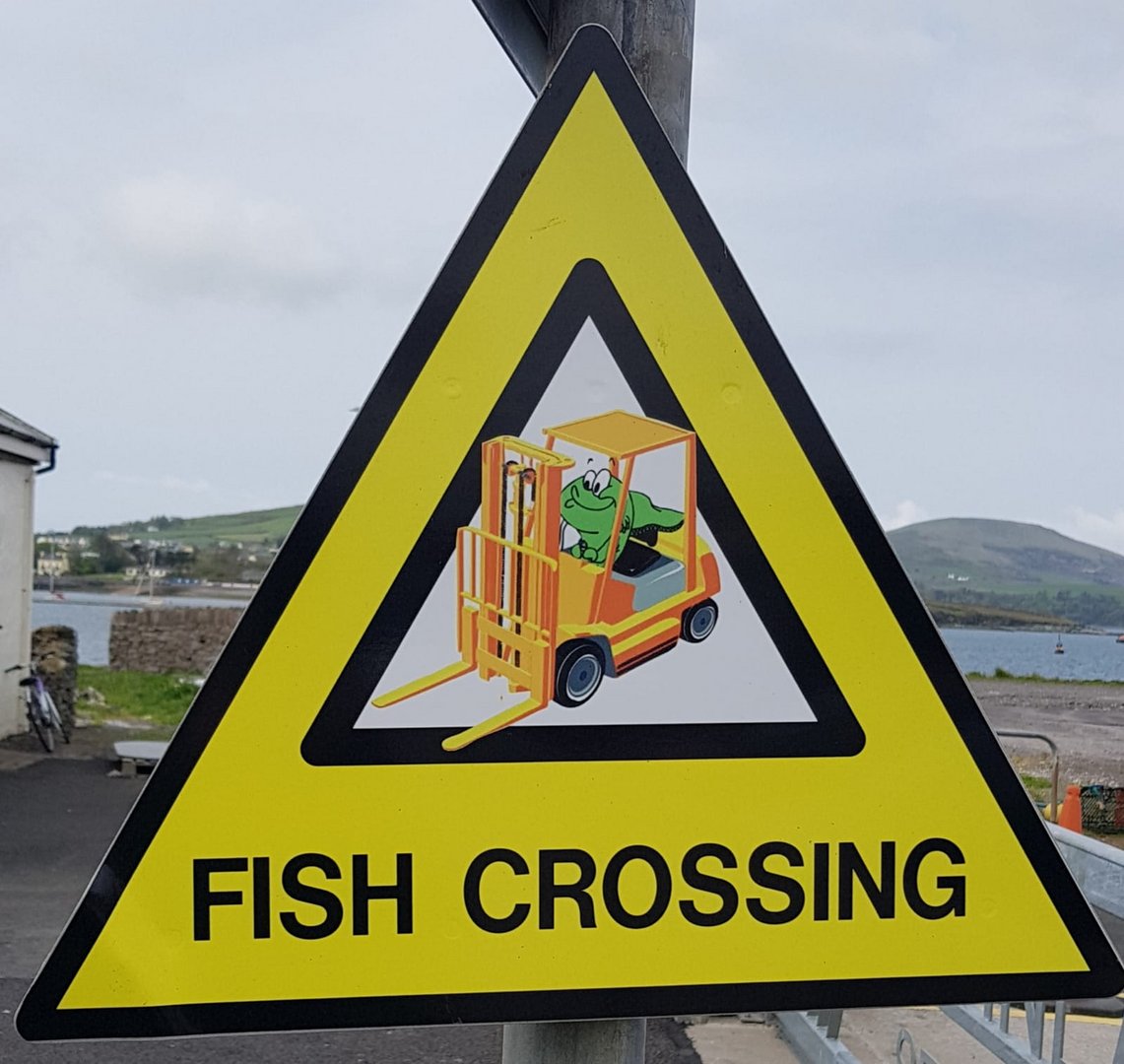 Fish Crossing