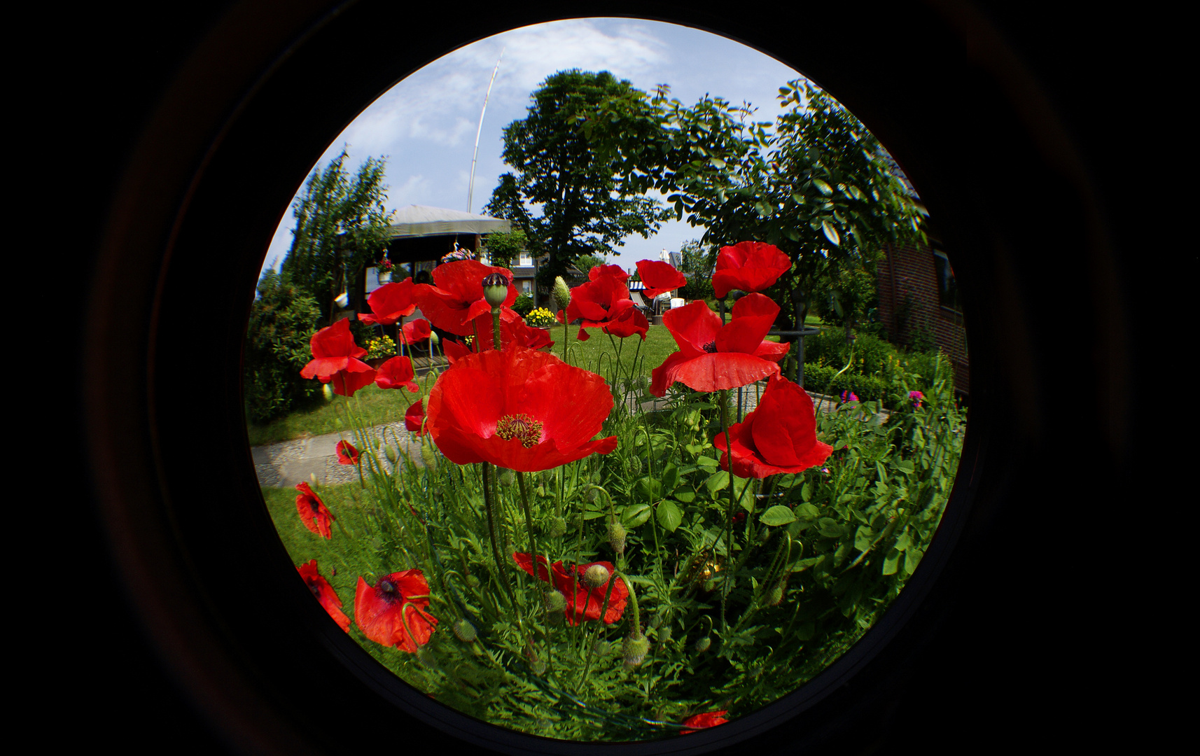 Fish-Eye 180° bei 9mm Brennweite