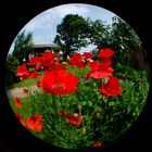 Fish-Eye 180° bei 9mm Brennweite