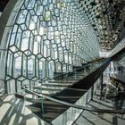 Fish-Eye Harpa 