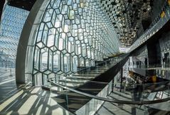 Fish-Eye Harpa 