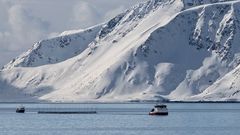 FISH FARMING near Hammerfest (NOR)