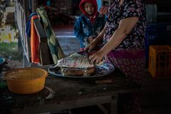 fish food preparing