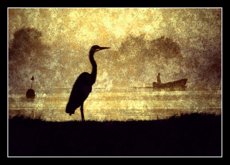 fish-heron and fisherman