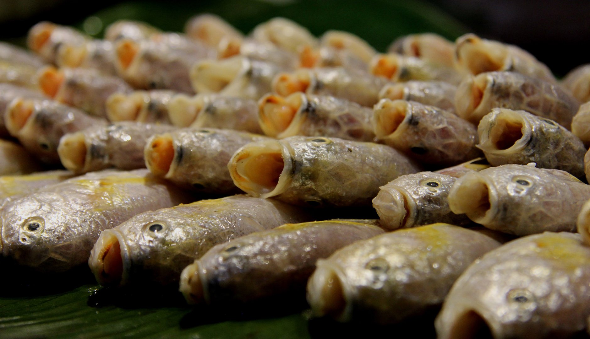 Fish in a Guangzhou seafood restaurant