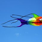 Fish Kite