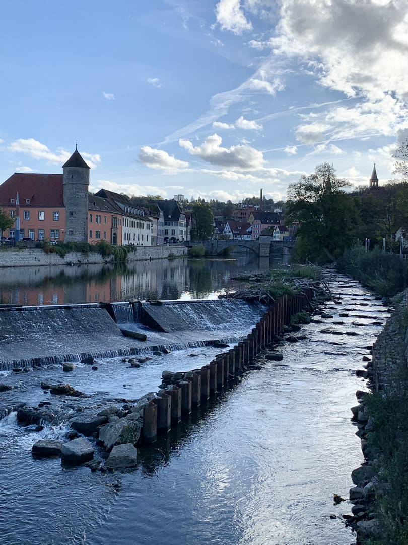 fish ladder