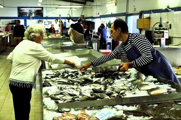 Fish Market