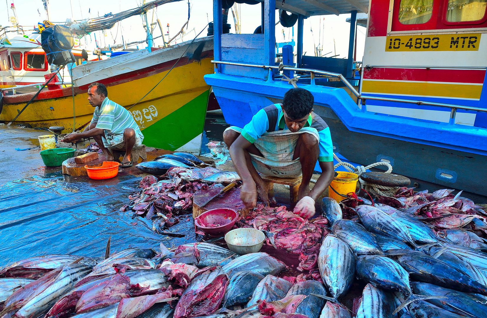 Fish market.