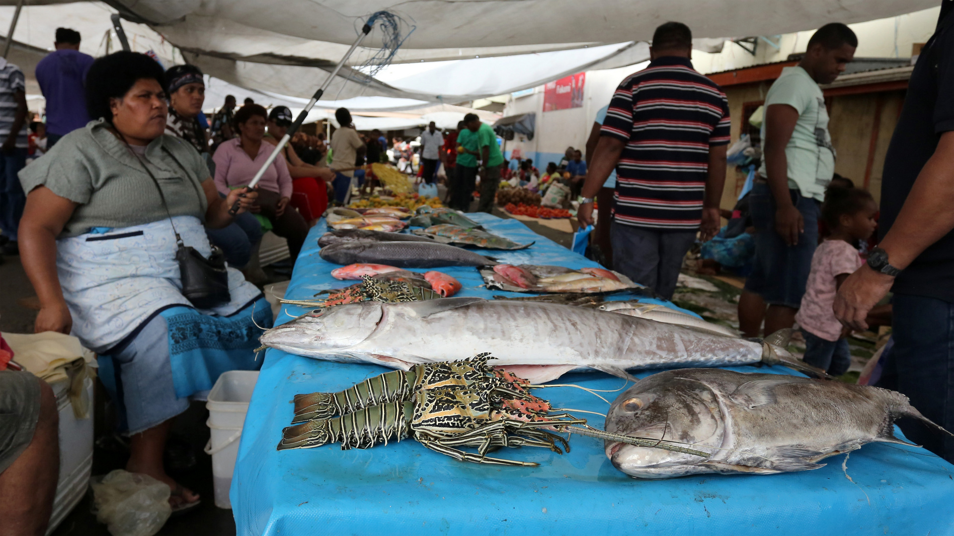 Fish Market II, Suva / FJ 