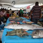 Fish Market II, Suva / FJ 