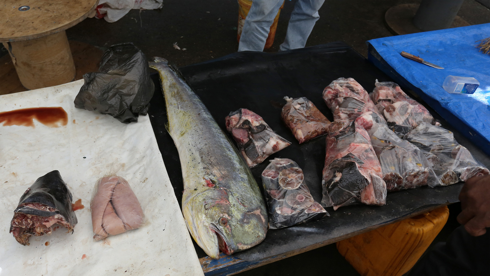 Fish Market III, Suva / FJ