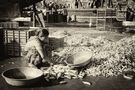 FISH MARKET IN DIU by Paola Vignali 