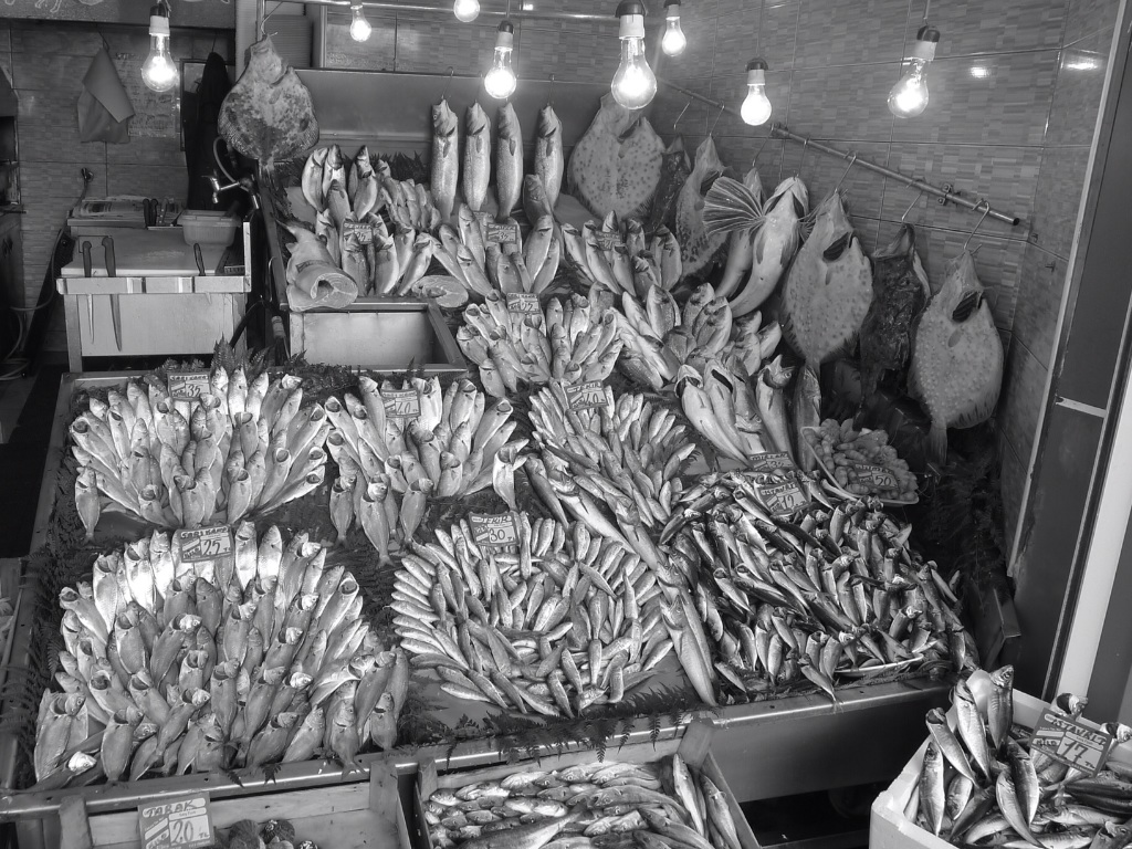 Fish market in Istanbul