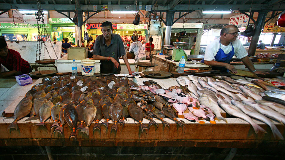 Fish Market, Port Louis / MU