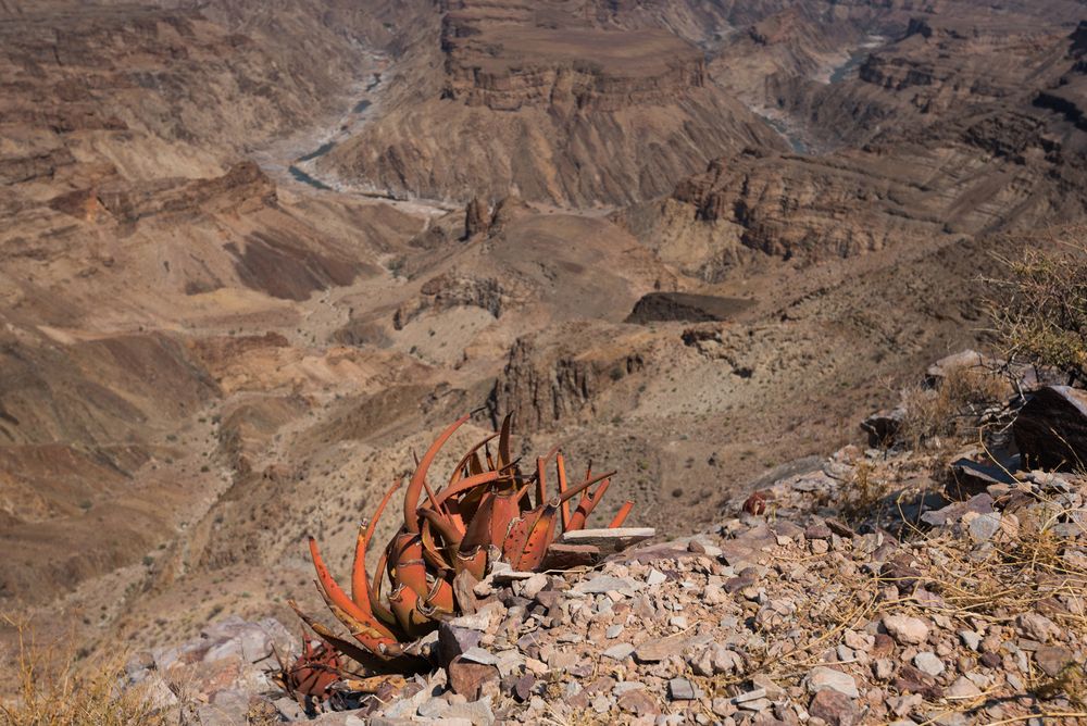 Fish River Canyon