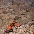 Fish River Canyon