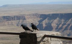 Fish river canyon