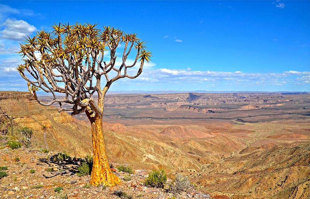 Fish River Canyon