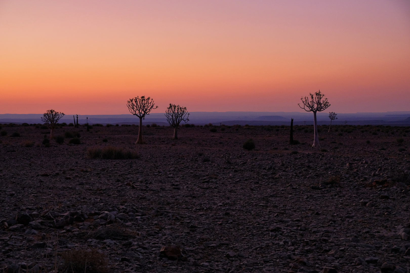 fish river lodge - kurz nach Sonnenuntergang