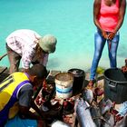 Fish sellers