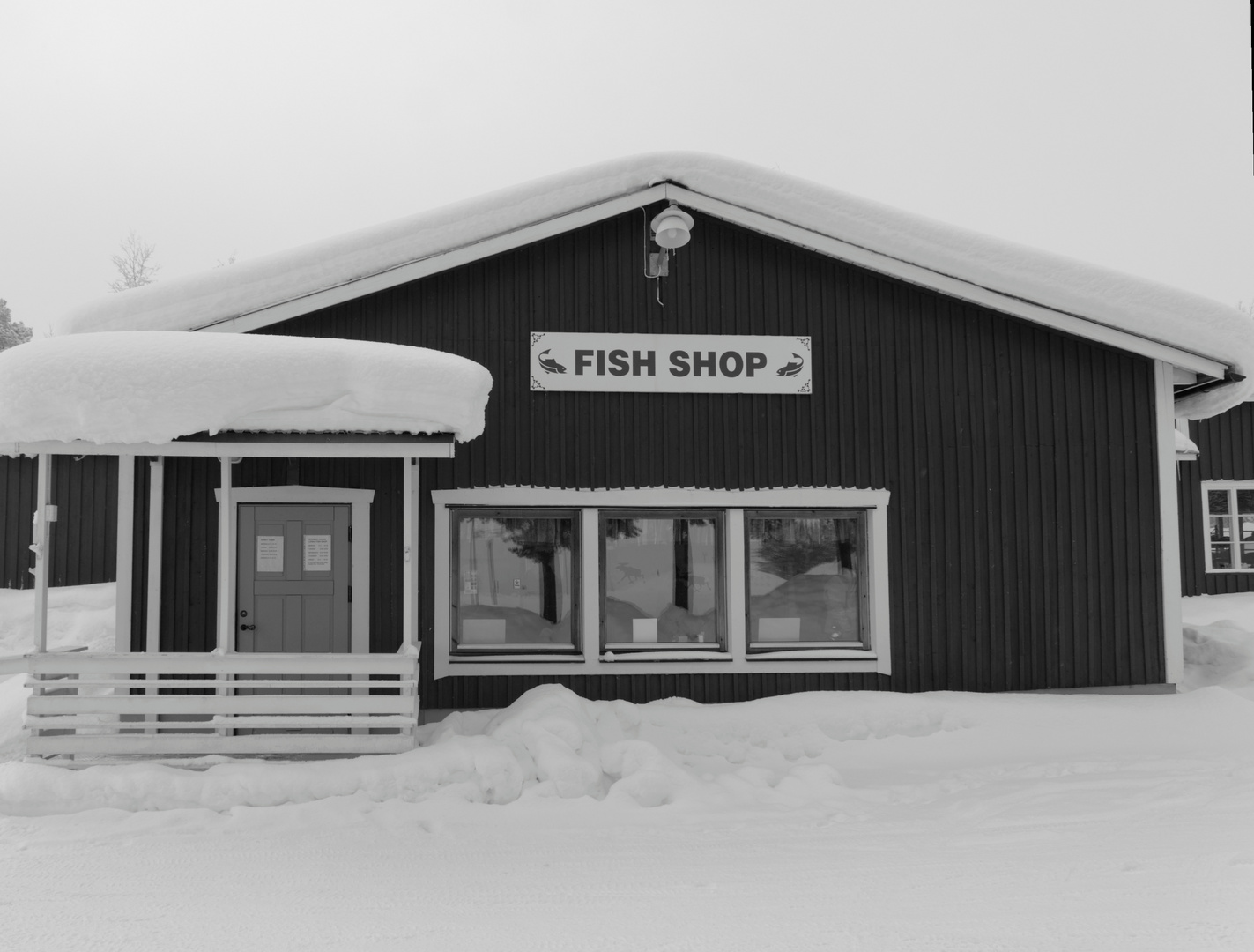 Fish Shop