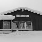 Fish Shop