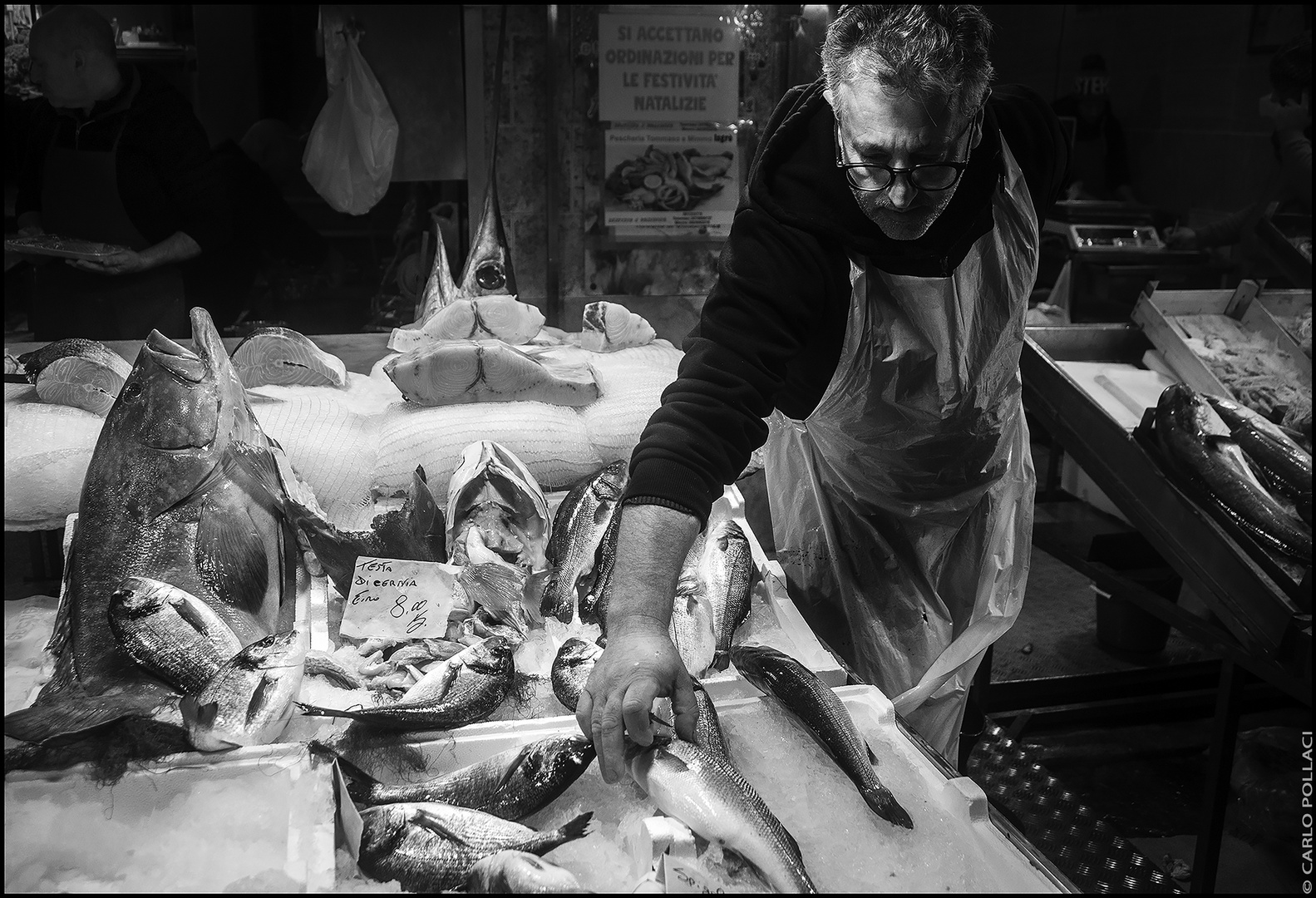 Fish shop _ LIVING HERITAGE #4