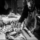 Fish shop _ LIVING HERITAGE #4