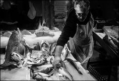 Fish shop _ LIVING HERITAGE #4