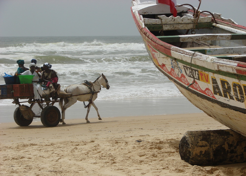 fish supply chain: boat, horse carriage, restaurant