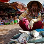 Fish vendor