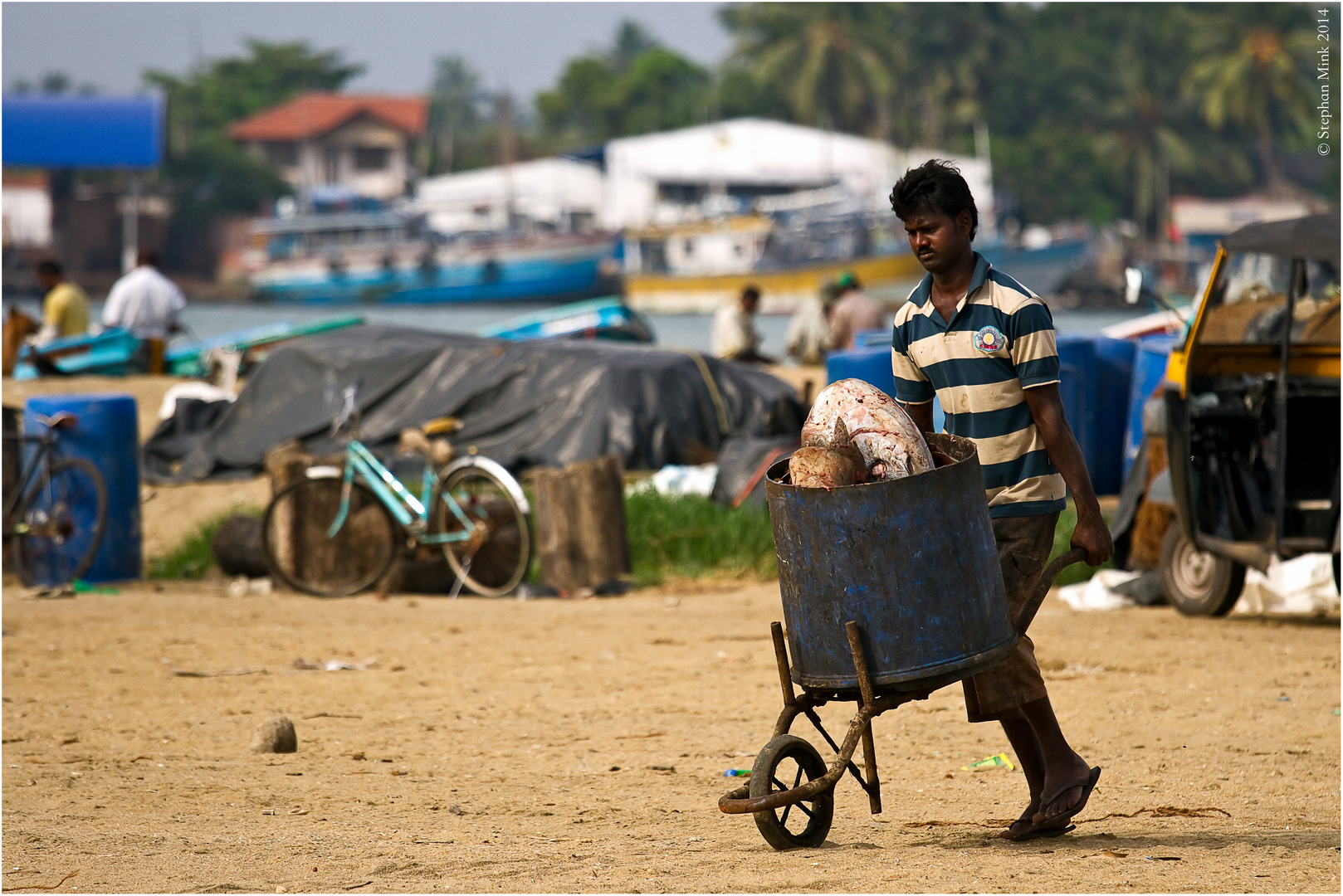 Fish waste