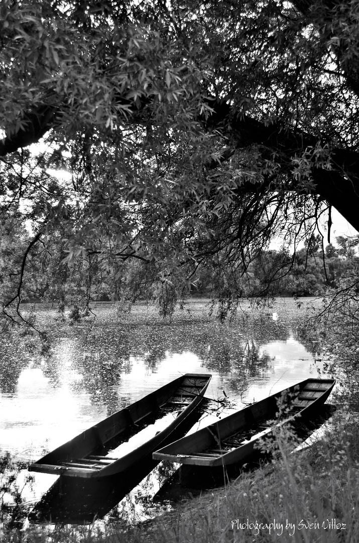 Fisher Boats