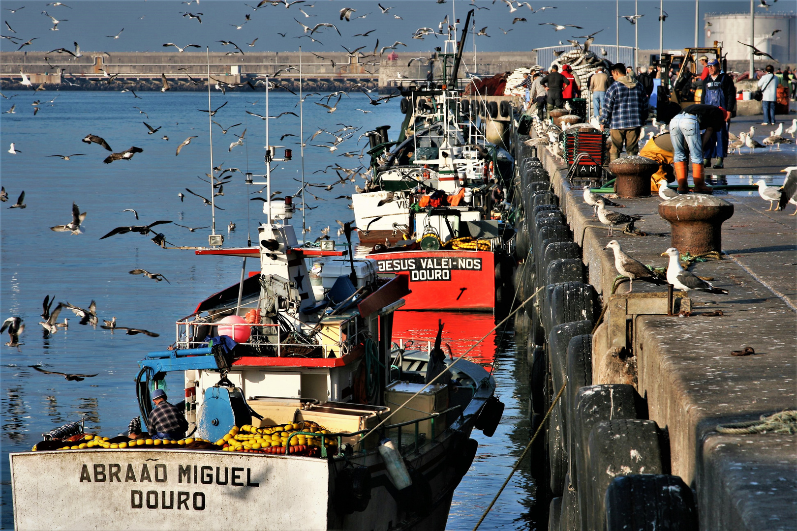 Fisher boats