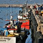 Fisher boats