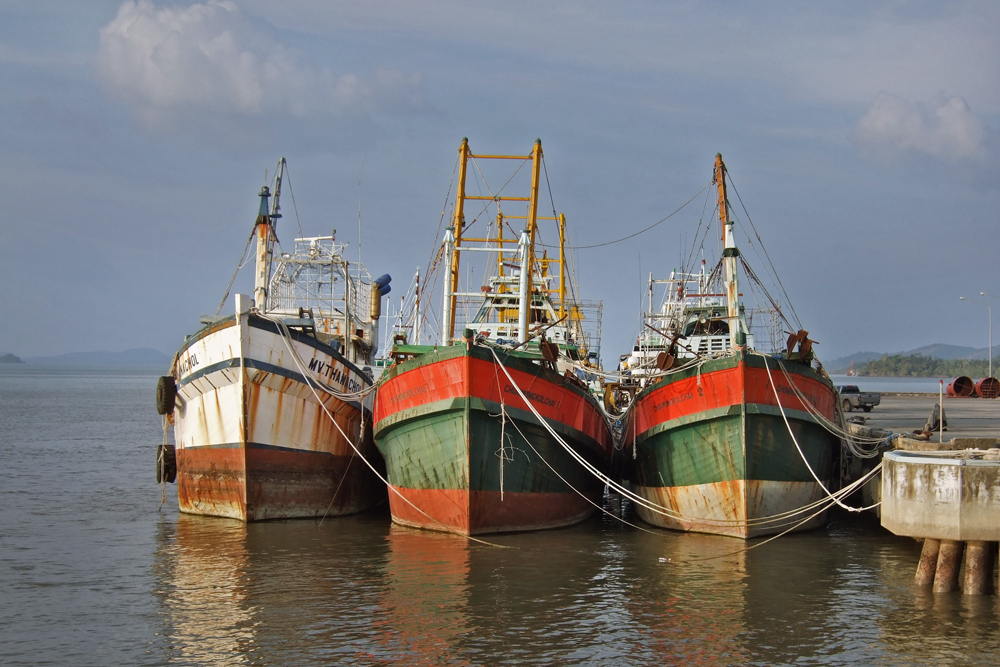 Fisher boats in Renong harbour
