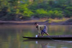 Fisherboy on Nam Ou river