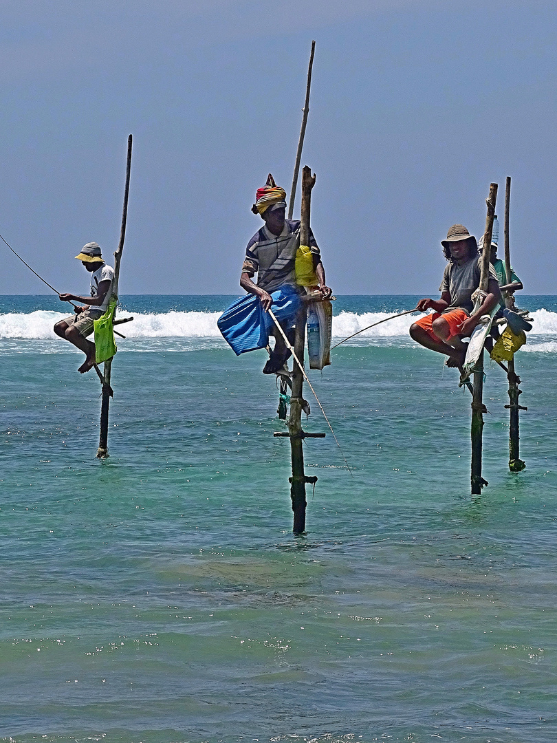 Fishermänner,Sri Lanka