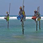 Fishermänner,Sri Lanka