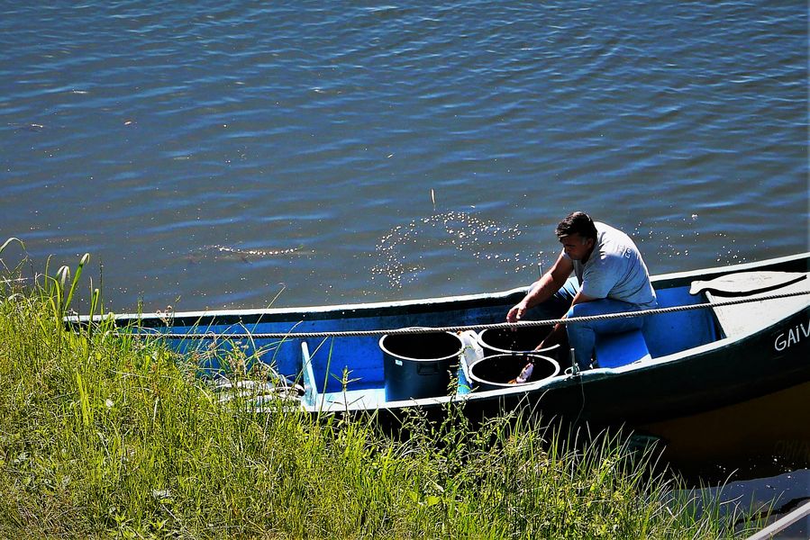 Fisherman