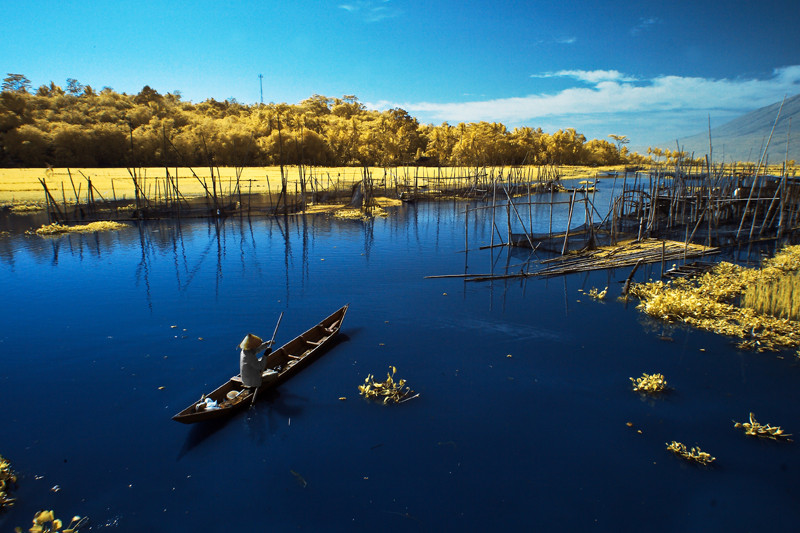 Fisherman