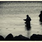 Fisherman and Friend